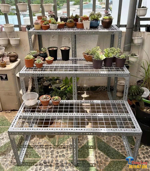 Khám phá những mẫu kệ để sen đá bằng sắt vừa chắc chắn vừa thẩm mỹ Khám phá những mẫu kệ để sen đá bằng sắt vừa chắc chắn vừa thẩm mỹ
