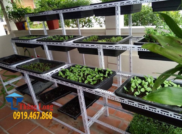Hướng dẫn cách lắp kệ sắt v lỗ trồng rau đơn giản từ A- Z Hướng dẫn cách lắp kệ sắt v lỗ trồng rau đơn giản từ A- Z